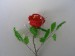 Růže červená,- 120kč
